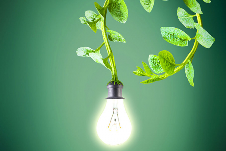Neiskorišteni potencijali za "zeleniju" energiju