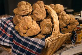 Slovenac osumnjičen za šverc 25 kilograma tartufa