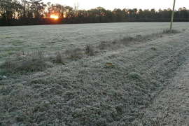 Suvo i hladno vrijeme, temperatura i do 12°C