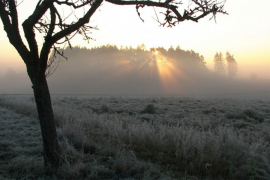 Ujutro mraz, tokom dana hladno vrijeme