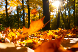 Sutra sunčano i toplije