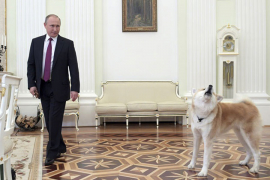 Putinov pas prestravio japanske novinare (VIDEO)