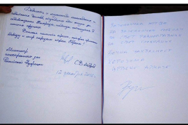 Lavrovljev krasnopis, Vulinov švrakopis