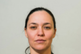 Dejtonski ustav - primijeniti, a ne promijeniti