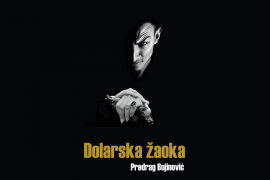 Roman "Dolarska žaoka": Plod piščeve mašte, pretpostavka ili istina?