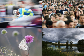 Najbolje fotografije 2016. godine fotoreportera Nezavisnih novina