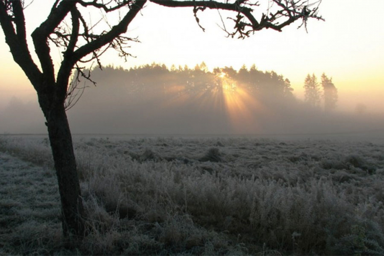Ujutro mraz, tokom dana hladno vrijeme