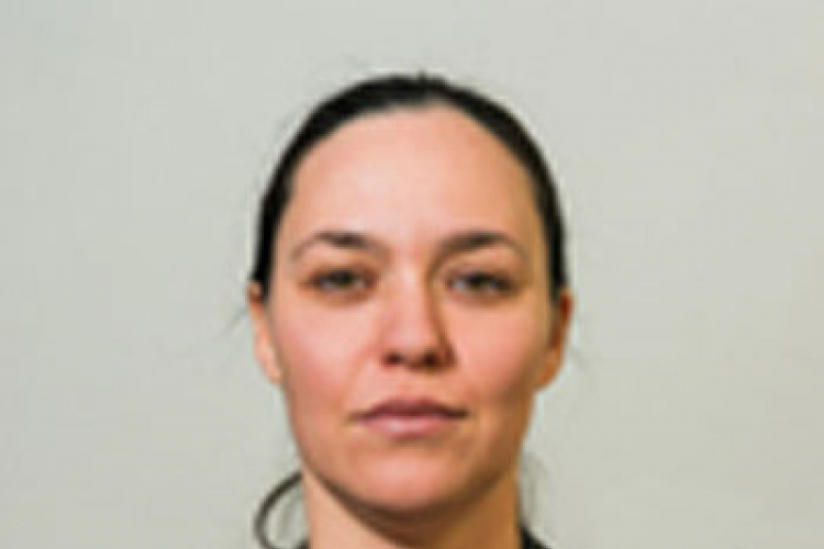 Dejtonski ustav - primijeniti, a ne promijeniti