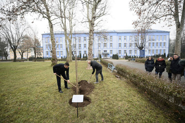 Zasađeno drvo prijateljstva (FOTO)