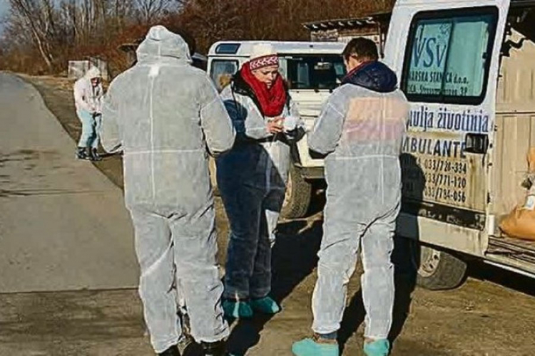 Ptičija gripa u Hrvatskoj: Cijelo selo na granici sa BiH u karantinu