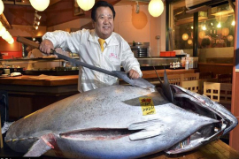 Tuna prodata za 614.000 dolara