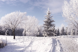Hladno vrijeme, temperatura i do -25°C