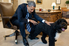 Obamin pas ujeo gošću za lice