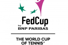 FED kup: BiH u grupi B