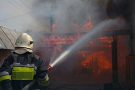 Bijeljina: Izgorjele svinje u štali, šteta 12.000 KM