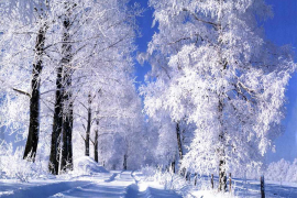 Oblačno i hladnije, temperatura i do -10