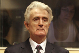 Dokumentarac o Radovanu Karadžiću