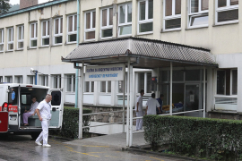 Žohari redovni stanovnici Kantonalne bolnice u Zenici