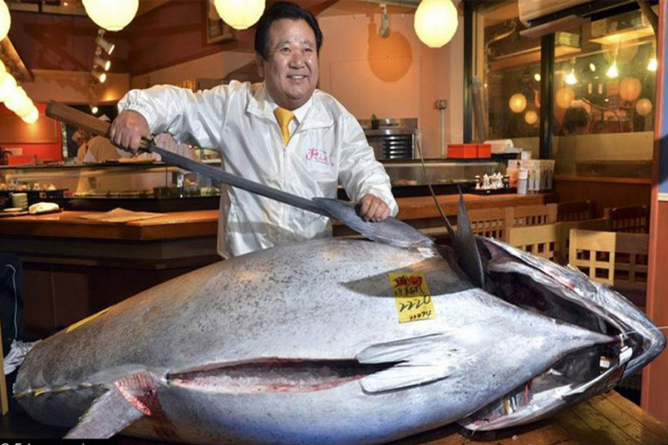 Tuna prodata za 614.000 dolara