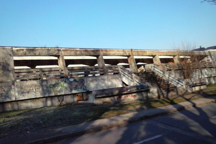 Sklonište u Lazarevu propada već 26 godina