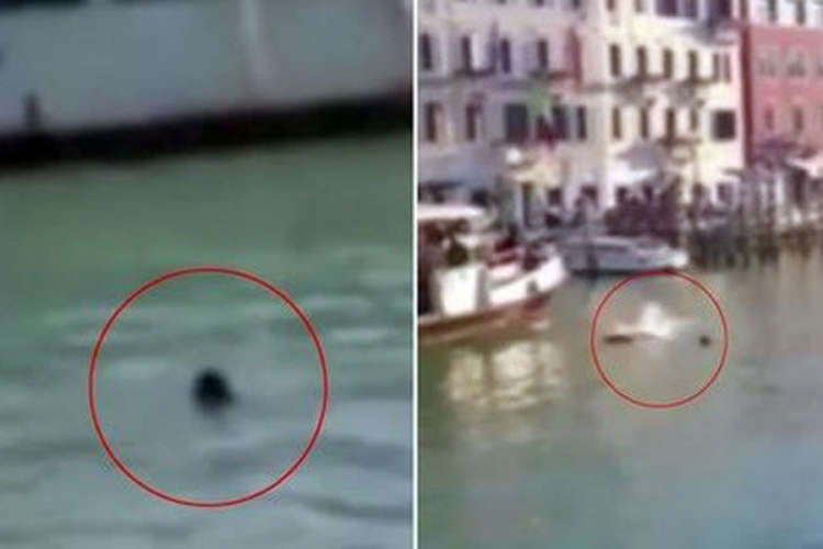 Migrant se udavio, turisti se smijali i snimali (VIDEO)