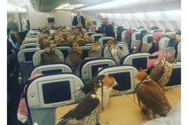 Platio 80 mjesta u avionu za svoje jastrebove