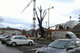 Banjaluka: Novo ruho za stari hrast?