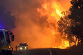 Temperature iznad +45, više od 86 požara u Australiji, ugrožene kuće