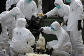 Otkriveni virus u Prijedoru nije  prenosiv na ljude