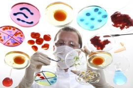 U analiziranim uzorcima hrane nema GMO


