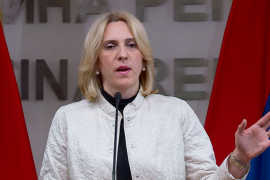 Cvijanović: Osuda neustavnog djelovanja Izetbegovića