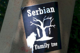 Zbog postavljanja naljepnica 'Serbian family tree' priveden ...