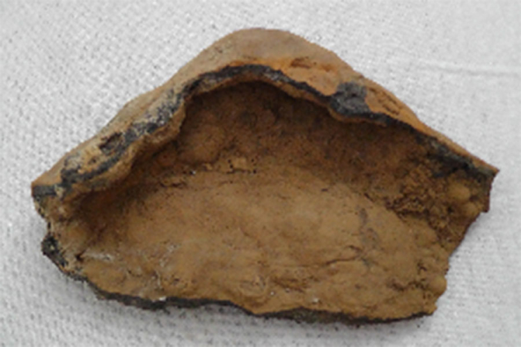 Pronađeni proteini dinosaurusa stari 195 miliona godina