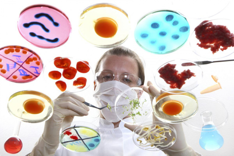 U analiziranim uzorcima hrane nema GMO


