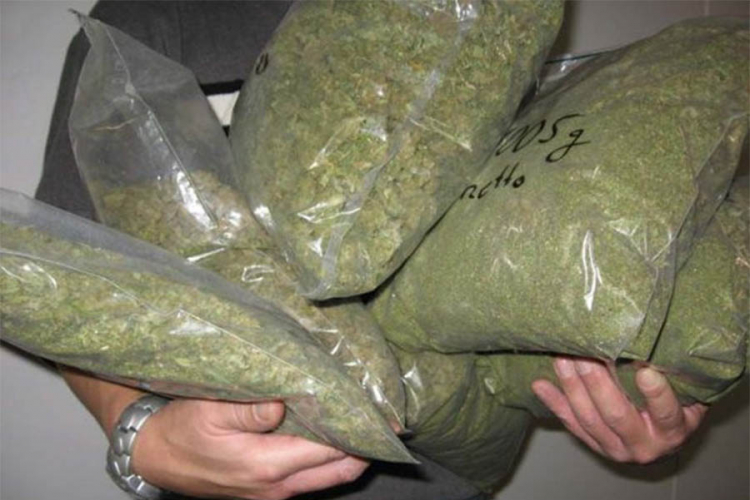 Zaplijenjeno više od 6 kilograma "ničije" marihuane