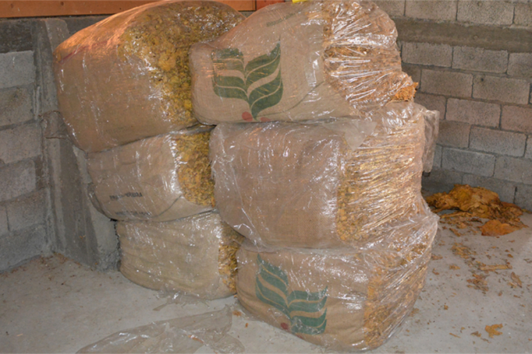 Zaplijenjeno 380 kilograma duvana
