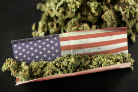 Marihuana otvara 300.000 radnih mjesta