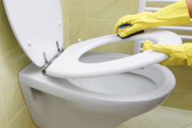 Napravite sami pastu za čišćenje WC šolje