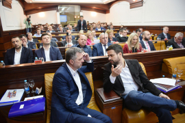 Toplana na drvo jedini spas
