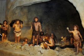 Neandertalci se liječili analgeticima