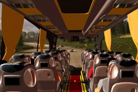 Vic dana: Mujo vozač autobusa