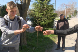 Učenici otkrili leglo zmija kod škole