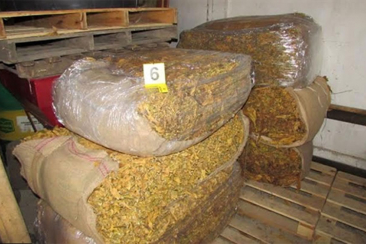 Akcija "List dva" - Zaplijenjeno 320 kilograma rezanog duvana