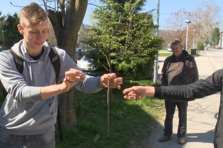 Učenici otkrili leglo zmija kod škole