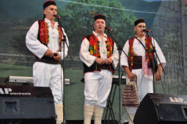U Drvaru sabor krajiške pjesme: Želja je stvoriti malu srpsku Guču
