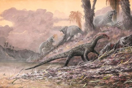 Preci dinosaurusa bili nalik krokodilima
