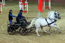 Konjički spektakl za Pehar Banjaluke