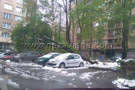 Drvo oštetilo auto na parkingu u Sarajevu