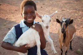 Školarinu plaćaju kozama