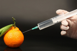 Kina postaje vodeći proizvođač GMO sjemena u svijetu?
